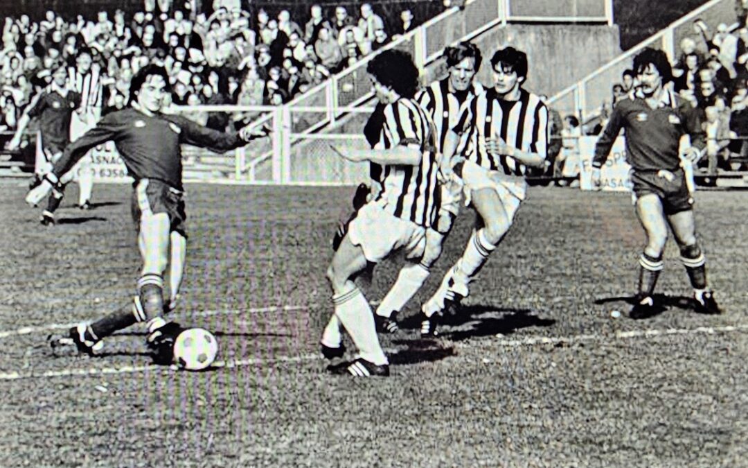 De 15 vragen aan; Menno Meijer