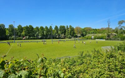 Rini Toet; Geen standaardelftal?