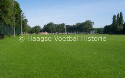 Stadsdichter Cor Van Welbergen; “Verlangen naar het nieuwe gras”