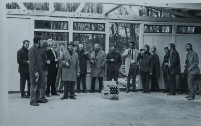 Rini Toet; Commissies